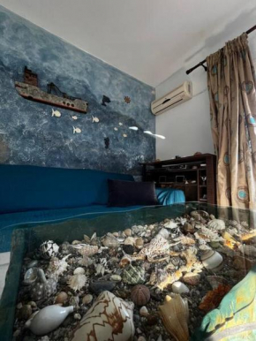 Shells_Haven